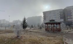 Ardahan'da sis ve kırağı etkili oldu!