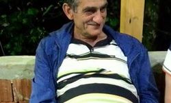 Arı kovanlarının bulunduğu ahşap yapı devrildi!