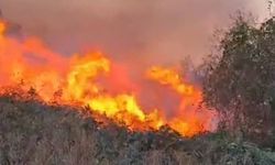 Artvin'de bahçede çıkan yangın ormana sıçradı!