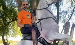 Atla elektrik direğine çarptı!