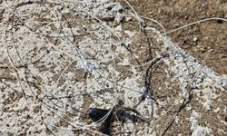 Balık ağlarına takılı yaralı caretta caretta kurtarıldı