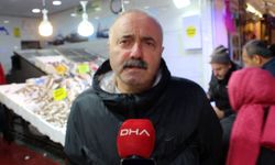 Balık Tezgahlarında Şaşırtan Hamsi Bereketi!