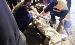 Bandırma’da Trafik Kazası: 1 Ölü, 3 Yaralı