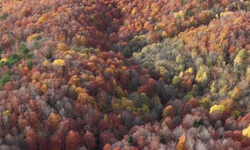 Bolu Mengen'de sonbahar güzelliği!