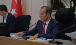 Bolu'da çevreyi kirletenlere ceza!