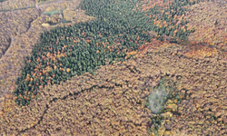 Bolu'da sonbahar manzarası bir başka