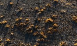 Çatalhöyük'e gömülen Güllü Ayşa'nın öyküsü