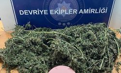 Edirne'de uyuşturucu operasyonu