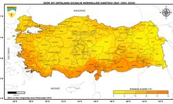 Ekimde en yüksek sıcaklık Cizre'de!