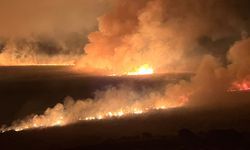 Hakkari’de Nehil Sazlığı’nda Yangın