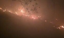 Hatay'da çıkan orman yangını, 12 saatte kontrol altına alındı