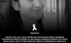 Kamyonetin çarptığı Nazmiye kurtarılmadı!