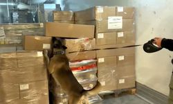 Kapıkule'de TIR'dan 66 kilo 400 gram uyuşturucu ele geçirildi