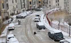 Kar ve tipiye yakalanan 2 minibüsteki 20 kişi kurtarıldı