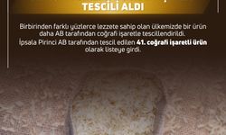 Kestane Şekeri ile İpsala Pirinci'ne AB'den coğrafi işaret tescili