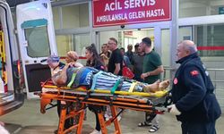 Kozan’da zeytin bahçesinde düşen yaşlı adam yaralandı