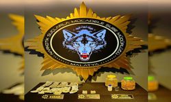 Malatya'da uyuşturucu operasyonu