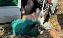 Manisa'da yol kenarına savrulan otomobilin sürücüsü ve eşi öldü