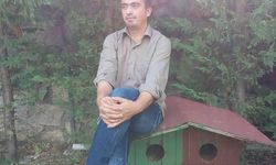 Mantar toplamak için ormana gitmişti, her yerde aranıyor!