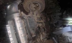 Mardin'de kamyonet şarampole devrildi