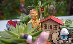 Öğretmenler Gününün Favorisi Kır Çiçeği