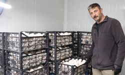 Oltulu Girişimci Murat Özmen Kültür Mantarında Bölgenin Tedarikçisi Oldu