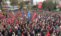 Ordu ve Giresun Fındıkta Dünya Devi