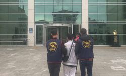 Ordu'da jandarma operasyonu: 64 tutuklama