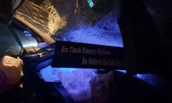 Ordu'da minibüs, TIR'a çarptı; 2 yaralı