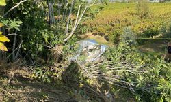 Otomobil tarlaya yuvarlandı, sürücü öldü!