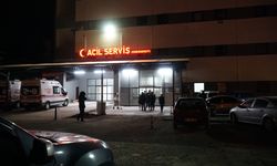 Rize'de otomobilin çarptığı yaya öldü