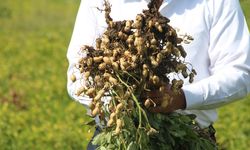 Tarımda su kıtlığının önüne geçebilmenin en iyi yolu nedir?