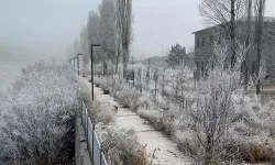 Ardahan'da sis ve kırağı etkili oldu