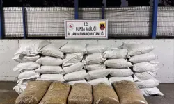 Bursa'da kaçak tütün operasyonu