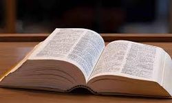 Parasosyal Kelimesi Nedir?