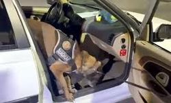 Erzurum'da uyuşturucu operasyonu