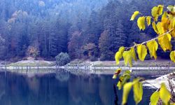 Manisa'da Sülüklü Göl, bu yıl tamamen kurudu