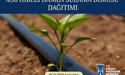 Ankara Büyükşehir’den üreticiye can suyu: %50 hibeli damla sulama borusu dağıtımı başlıyor