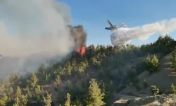 Kahramanmaraş'ta orman yangını çıktı