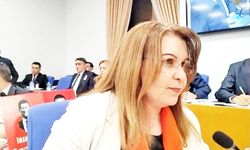 Adalet Bakanlığı Bütçesinde 1800 Cevapsız Soru Krizi