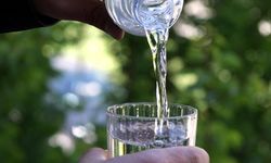 Ankara’da “Su ve Gıda Güvenliği Paneli” Düzenleniyor