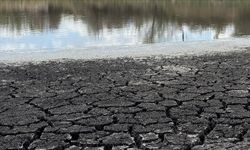 Dünyayı Tehdit Eden Su Krizi: 2025’te Küresel Kuraklık ve Alarm Verici Durum