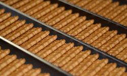 Ülker Bisküvi, IFC Kredisinin Vadesini 5 Yıl Uzattı