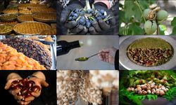 AB’nin Tescillediği 43’üncü Türk Lezzeti Hangisi Oldu?