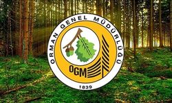 OGM’den 496 Personel Alımı! Başvuru Ekranı Açıldı