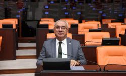 Aksakal’dan Çarpıcı Soru: PKK’ya Gidenler Kandil’e de Gitsin mi?