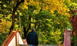 Ankara'da Sonbahar bir başkadır!