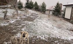 Ankara'ya Beklenen Kar Düştü!