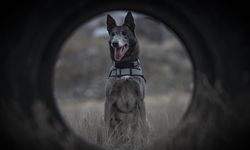 Depremden Cinayete İz Süren Pati: Melo!