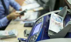 Döviz kuru endeksi kasımda 71,79 oldu